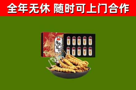 鸡泽烟酒回收冬虫夏草礼盒.jpg